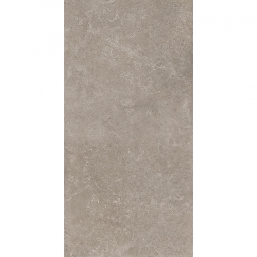 Керамогранит Шэлл (Shell) DG 60х120 11020 0,720 м2/уп