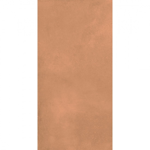Керамогранит Дэлишн Клэй (Delishn Clay) 60х120 DL0L60M01 0,720 м2/уп