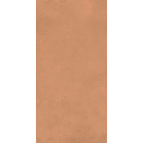 Керамогранит Дэлишн Клэй (Delishn Clay) 60х120 DL0L60M01 0,720 м2/уп