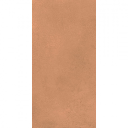 Керамогранит Дэлишн Клэй (Delishn Clay) 60х120 DL0L60M01 0,720 м2/уп